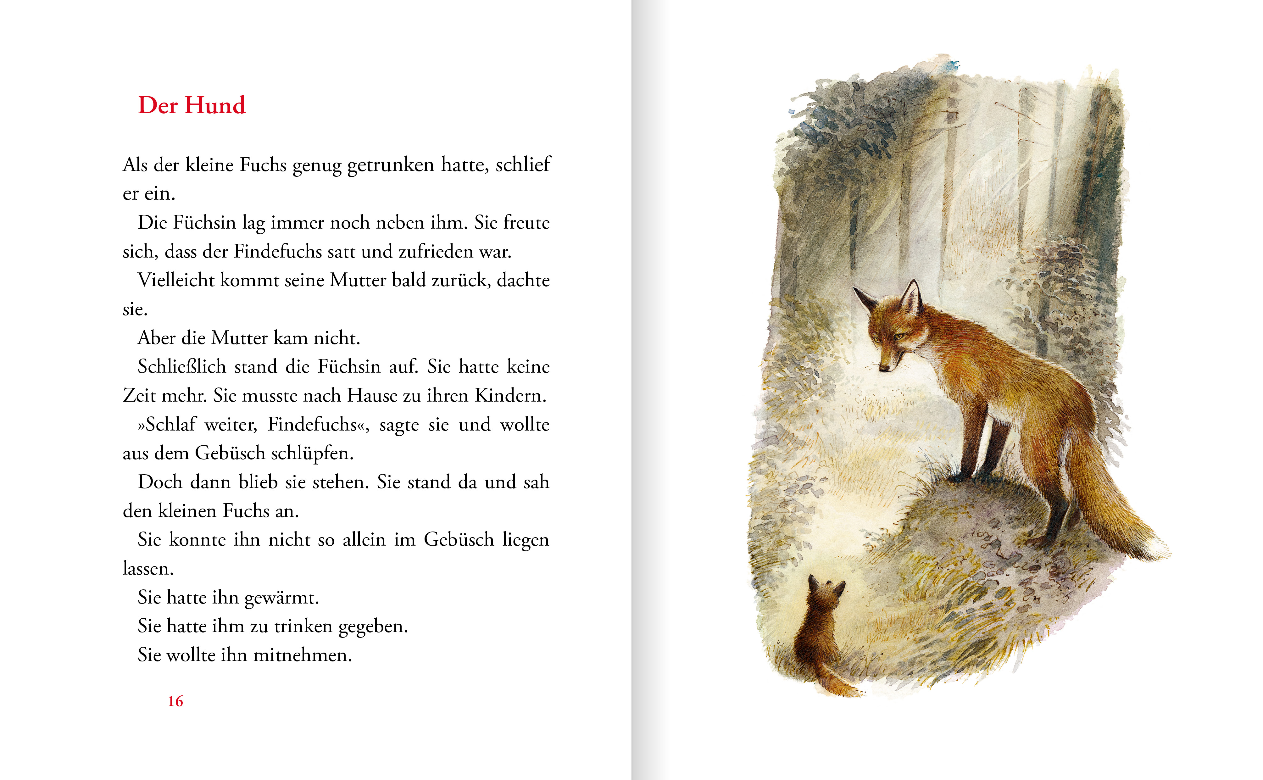 Der Findefuchs