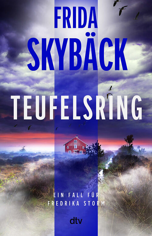 Cover des Buches Teufelsring von 