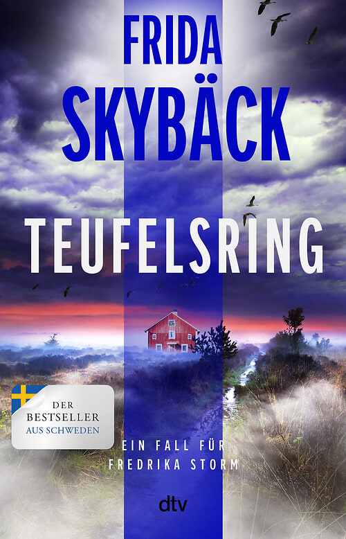 Cover des Buches Teufelsring von Frida Skybäck