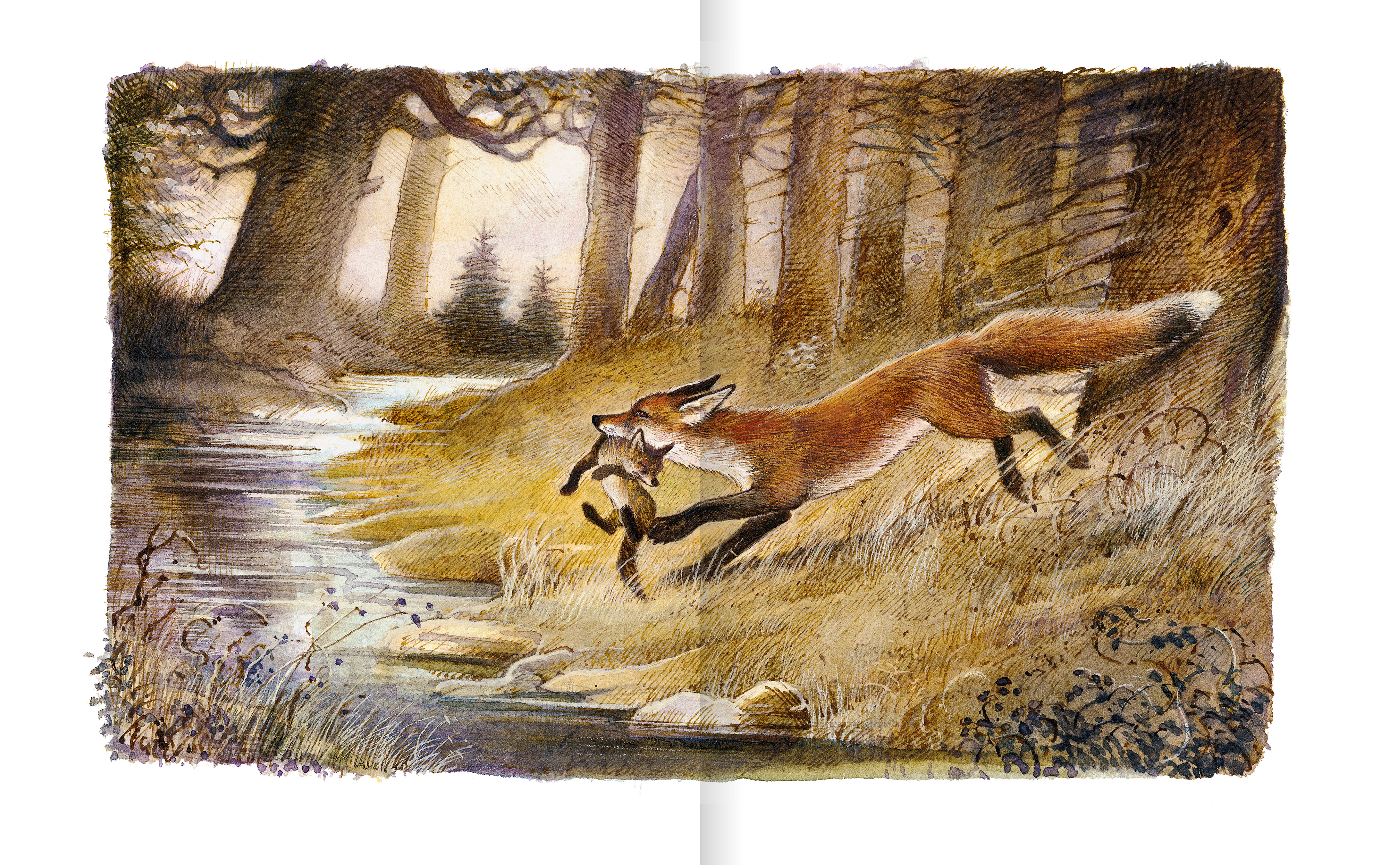 Der Findefuchs