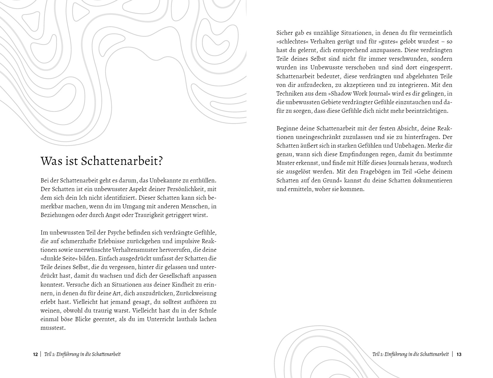 Das Shadow Work Journal