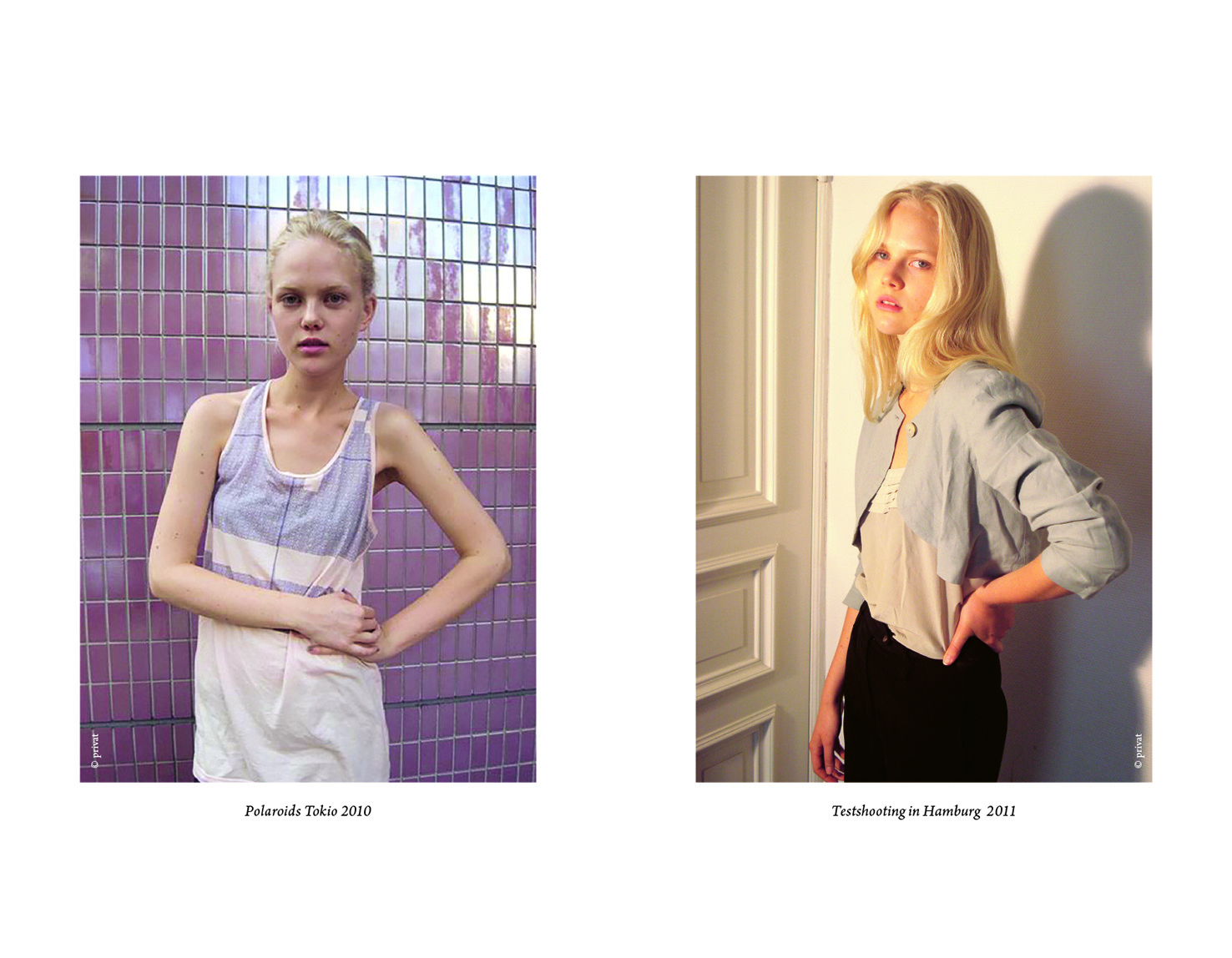 Fashion Victim – Licht und Schatten des Modelbusiness: Ein Topmodel berichtet