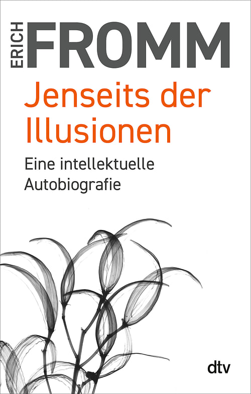 Cover des Buches Jenseits der Illusionen von Erich Fromm