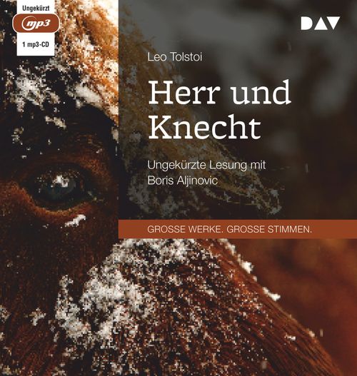Cover des Buches Herr und Knecht von 