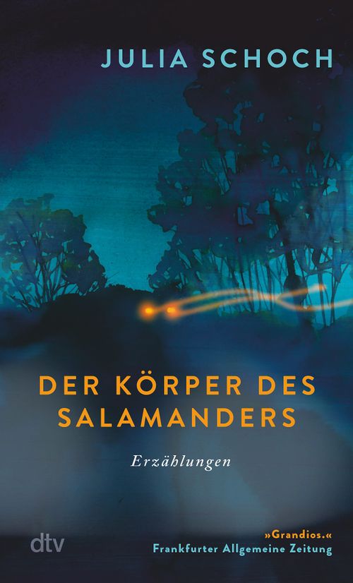 Cover des Buches Der Körper des Salamanders von Julia Schoch