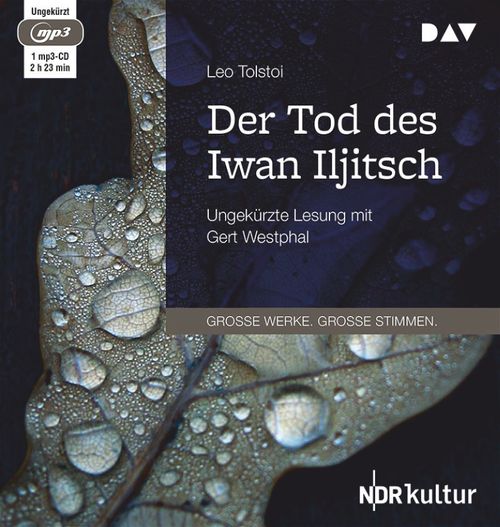 Cover des Buches Der Tod des Iwan Iljitsch von 