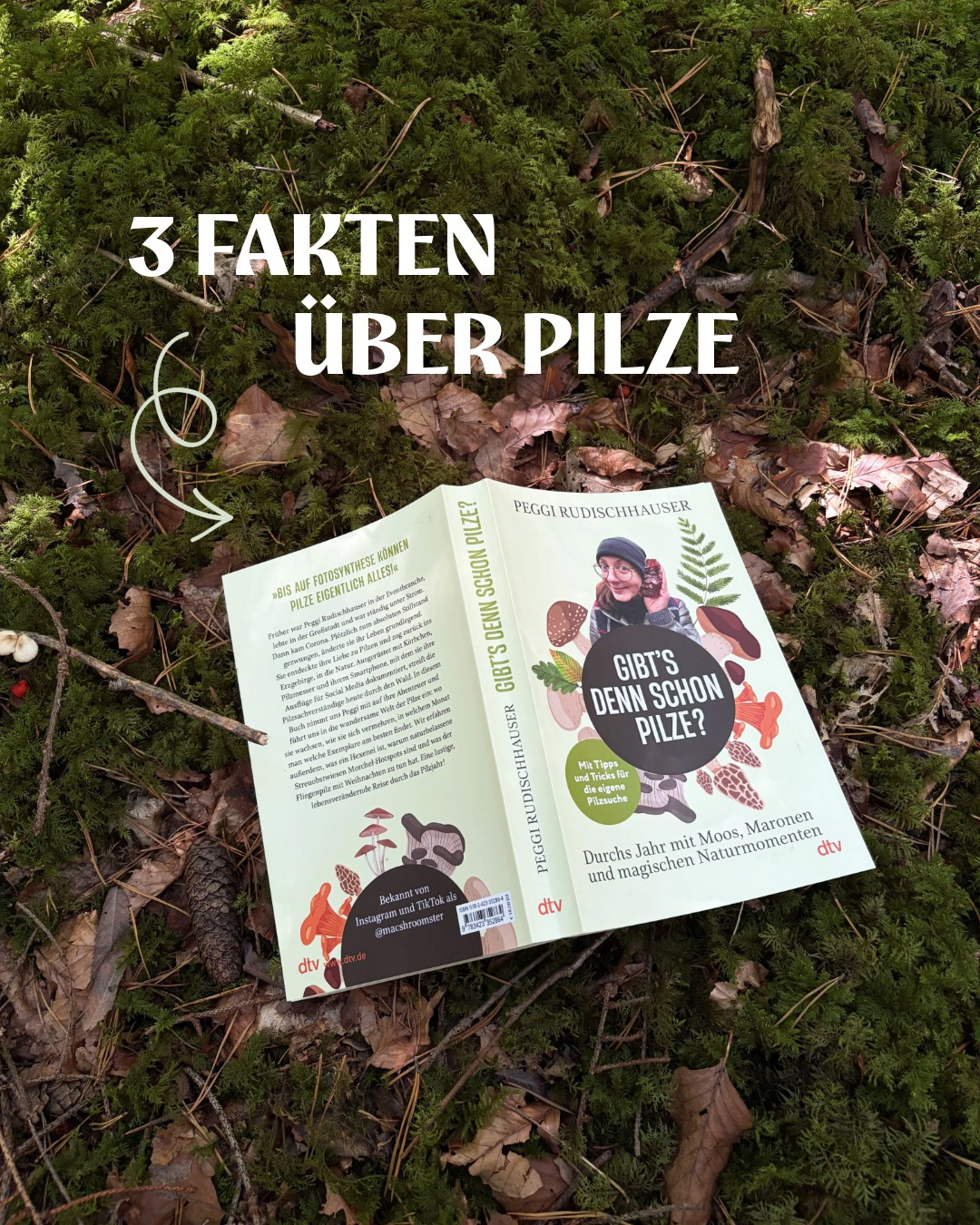 Fakten über Pilze aus dem Buch "Gibt's denn schon Pilze?"