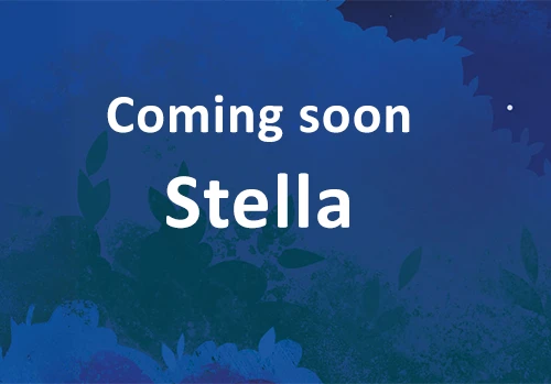 Coming soon: Der neunte Band Dragon Girls - Stella, der Sternendrache