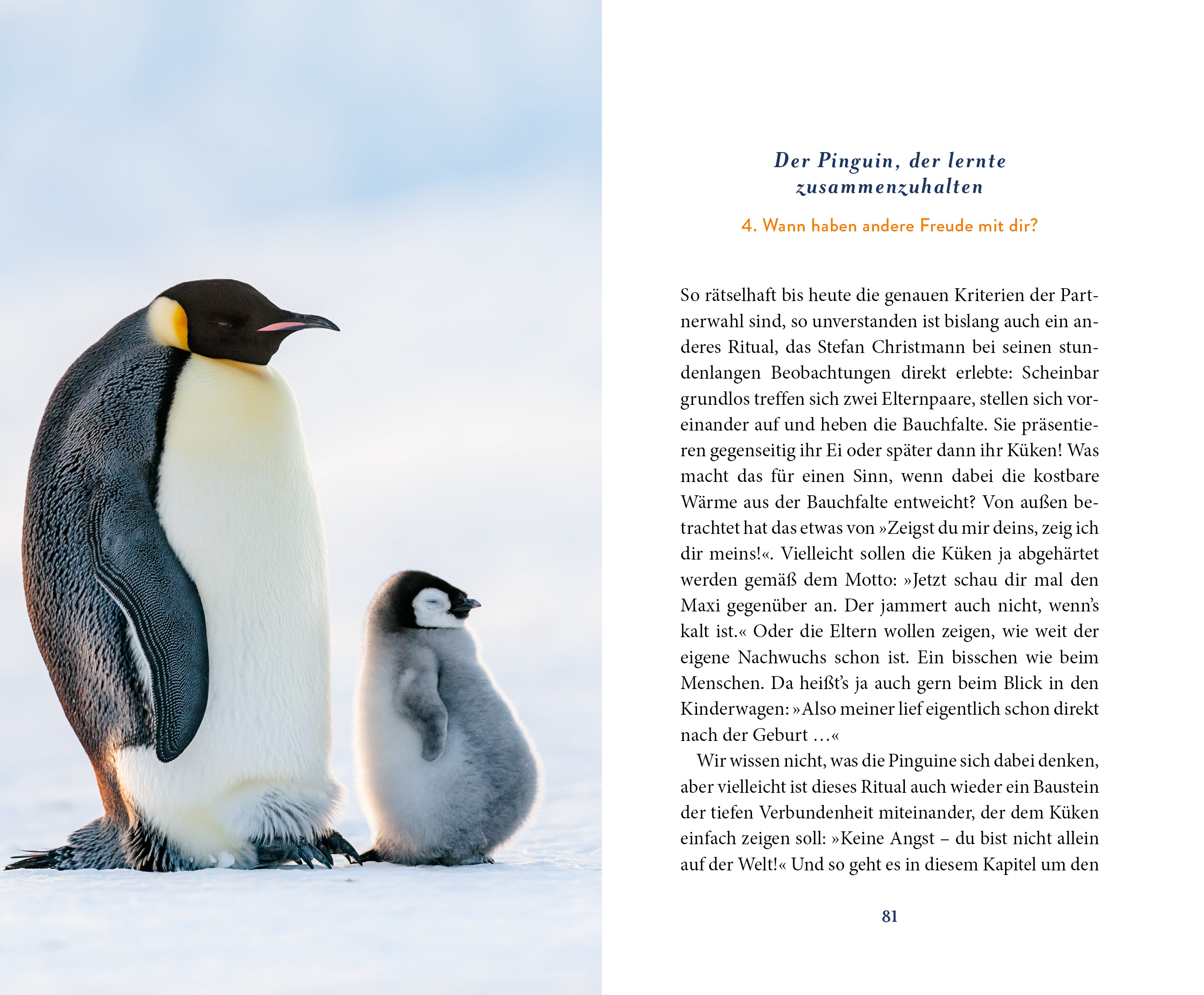 Der Pinguin, der fliegen lernte