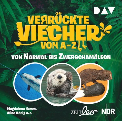 Verrückte Viecher von A bis Z – Teil 2: Von Narwal bis Zwergchamäleon