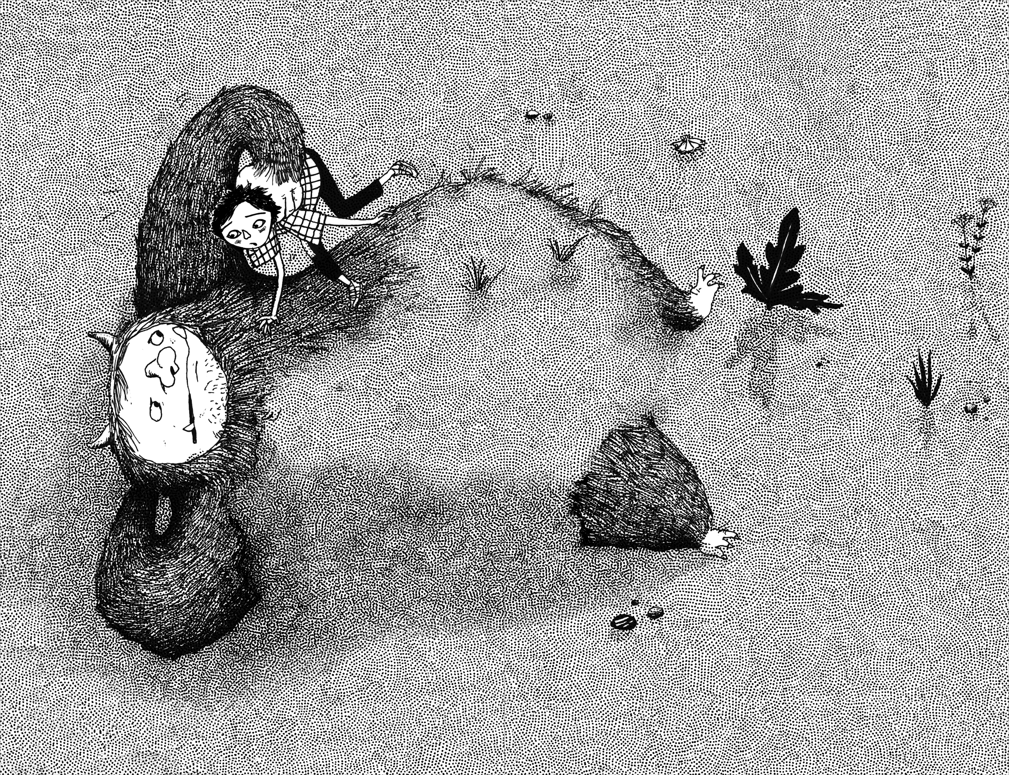 Die Insel der Schlasocks