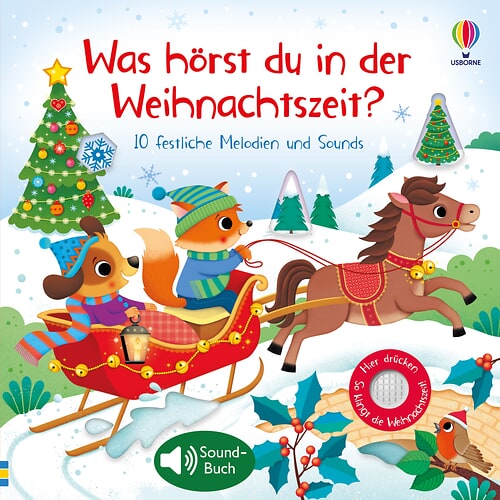 Cover des Buches Was hörst du in der Weihnachtszeit? von 
