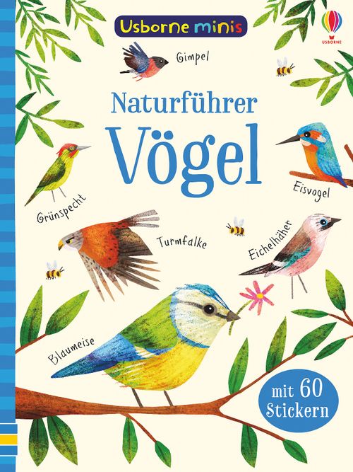 Cover des Buches Usborne Minis - Naturführer: Vögel von Sam Smith, Kirsteen Robson