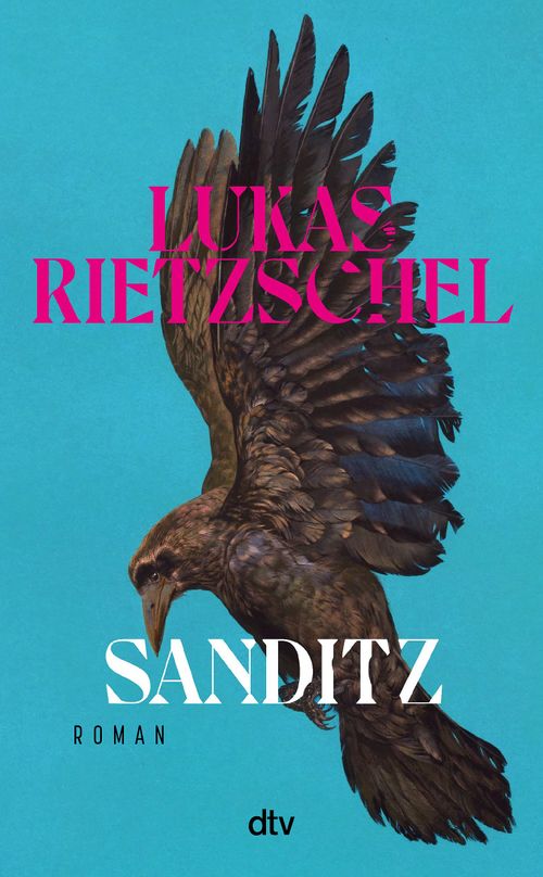 Cover des Buches Sanditz von Lukas Rietzschel