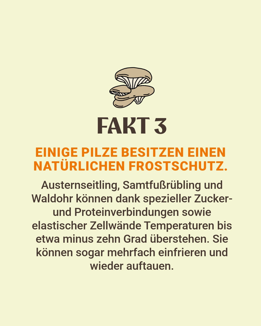 Fakten über Pilze aus dem Buch "Gibt's denn schon Pilze?"