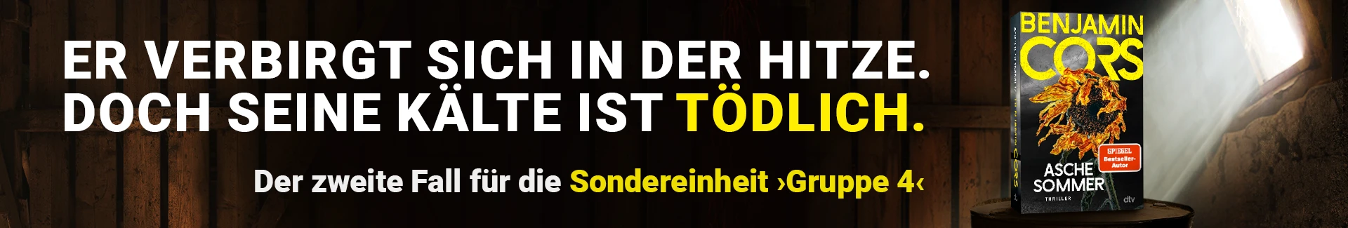 Er verbirgt sich in der Hitze. Doch seine Kälte ist tödlich. Cover Aschesommer von Benjamin Cors.