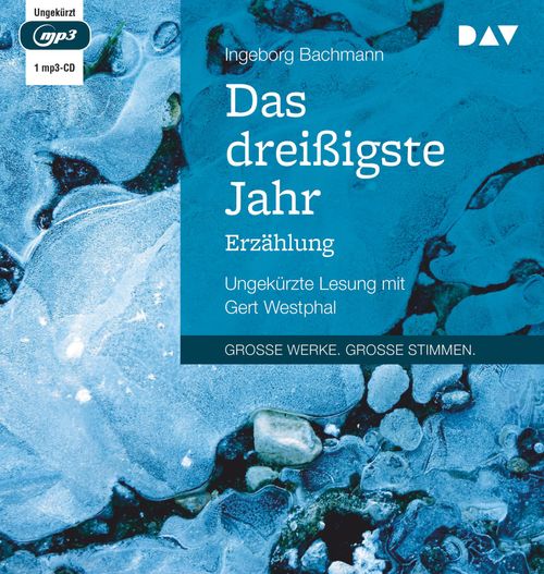 Cover des Buches Das dreißigste Jahr von 