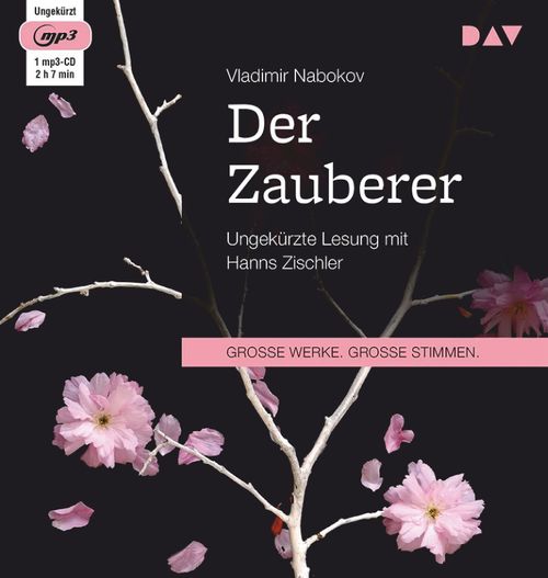 Cover des Buches Der Zauberer von 