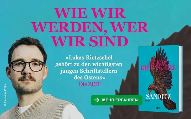 Grafik Sanditz von Lukas Rietzschel