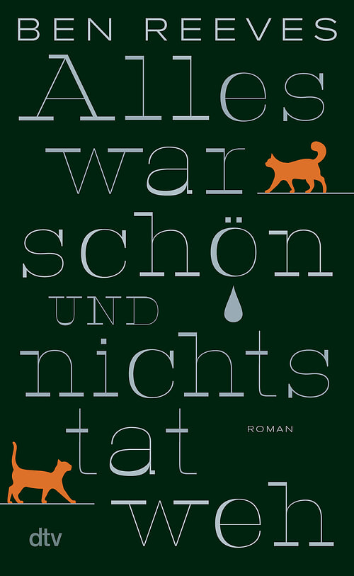 Cover des Buches Alles war schön und nichts tat weh  von