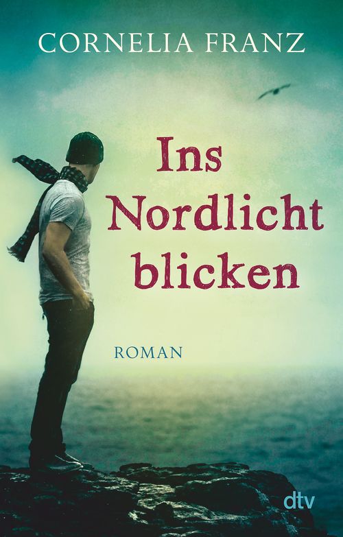 Cover des Buches Ins Nordlicht blicken von 