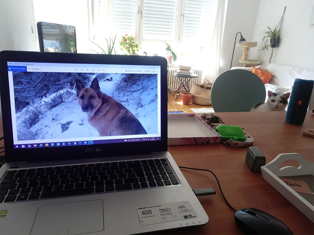 Foto des Arbeitsplatzes von Autorin Mona Jones.
