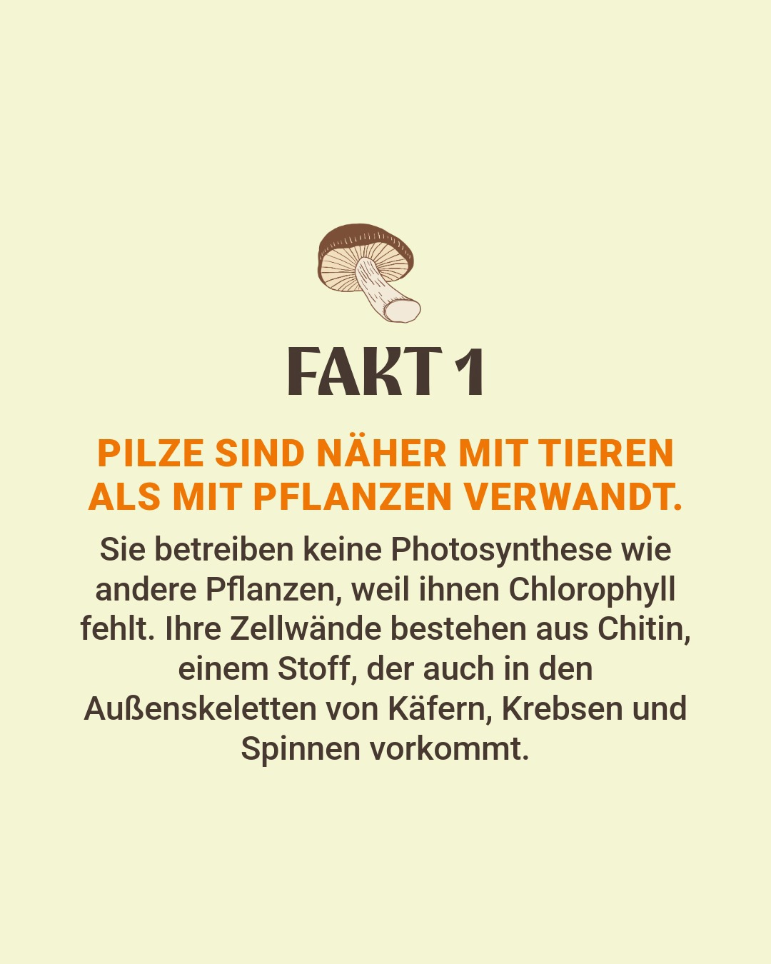 Fakten über Pilze aus dem Buch "Gibt's denn schon Pilze?"
