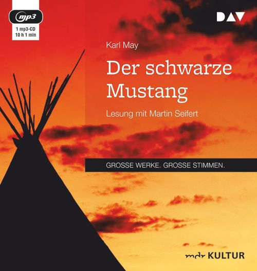 Cover des Buches Der schwarze Mustang von 
