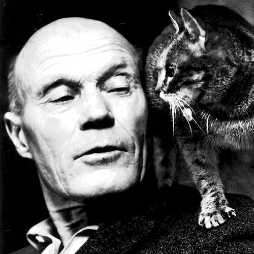 Foto der Autor:in Tarjei Vesaas