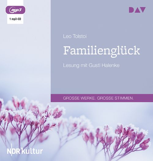 Cover des Buches Familienglück von 
