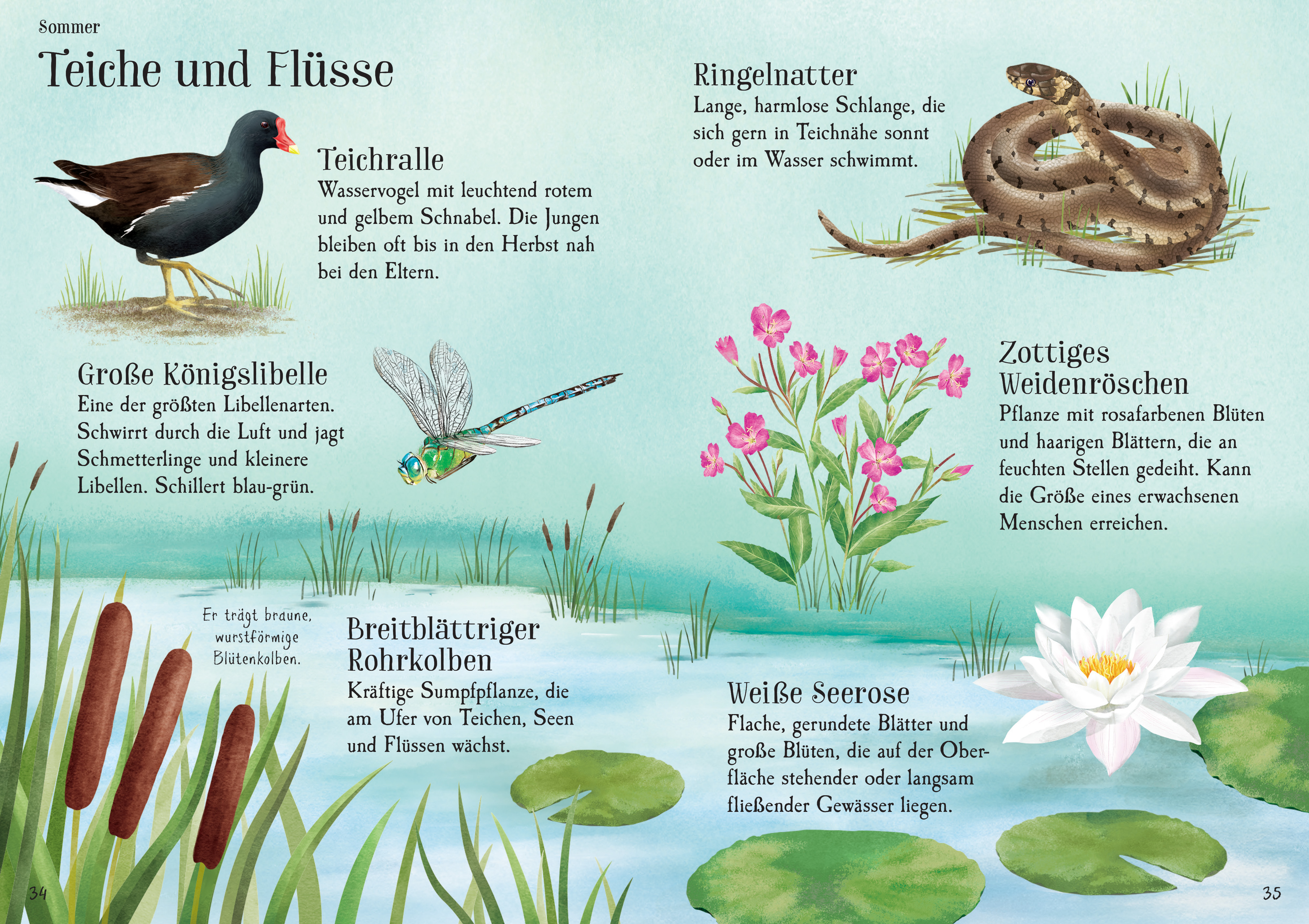 Augen auf in der Natur!