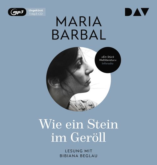 Cover des Buches Wie ein Stein im Geröll von 