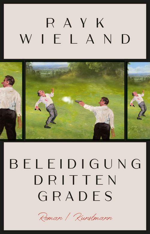 Cover des Buches Beleidigung dritten Grades von 