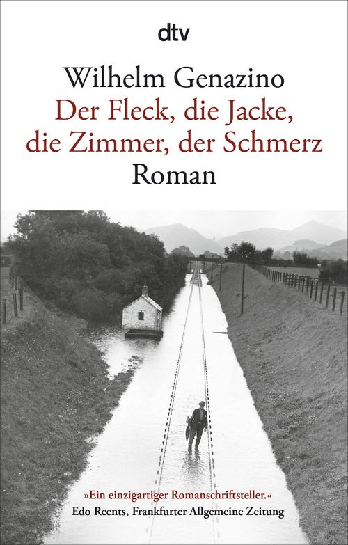 Cover des Buches Der Fleck, die Jacke, die Zimmer, der Schmerz von 