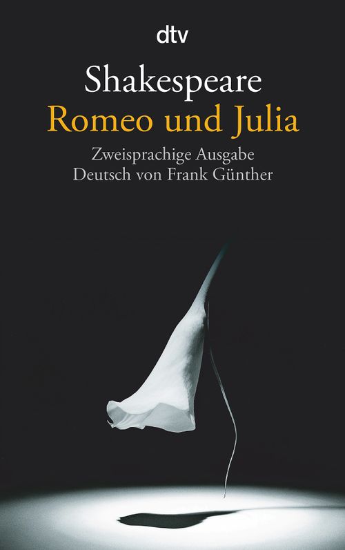 Cover des Buches Romeo und Julia von 