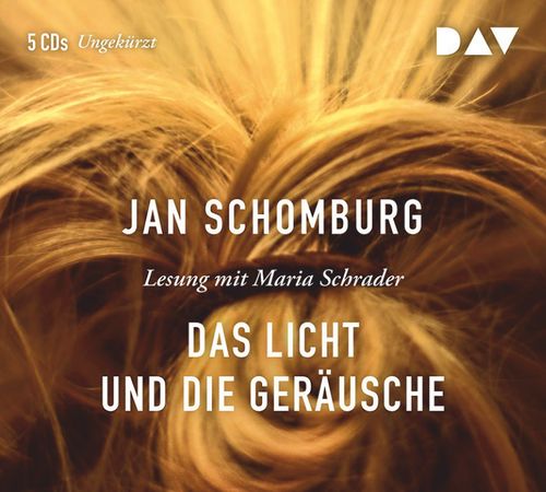 Cover des Buches Das Licht und die Geräusche von 