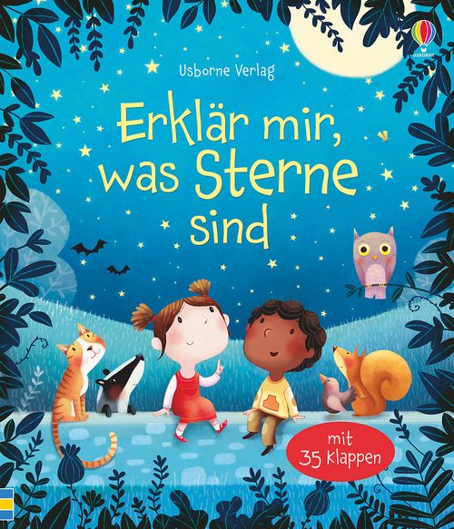 Cover des Buches Erklär mir, was Sterne sind von 